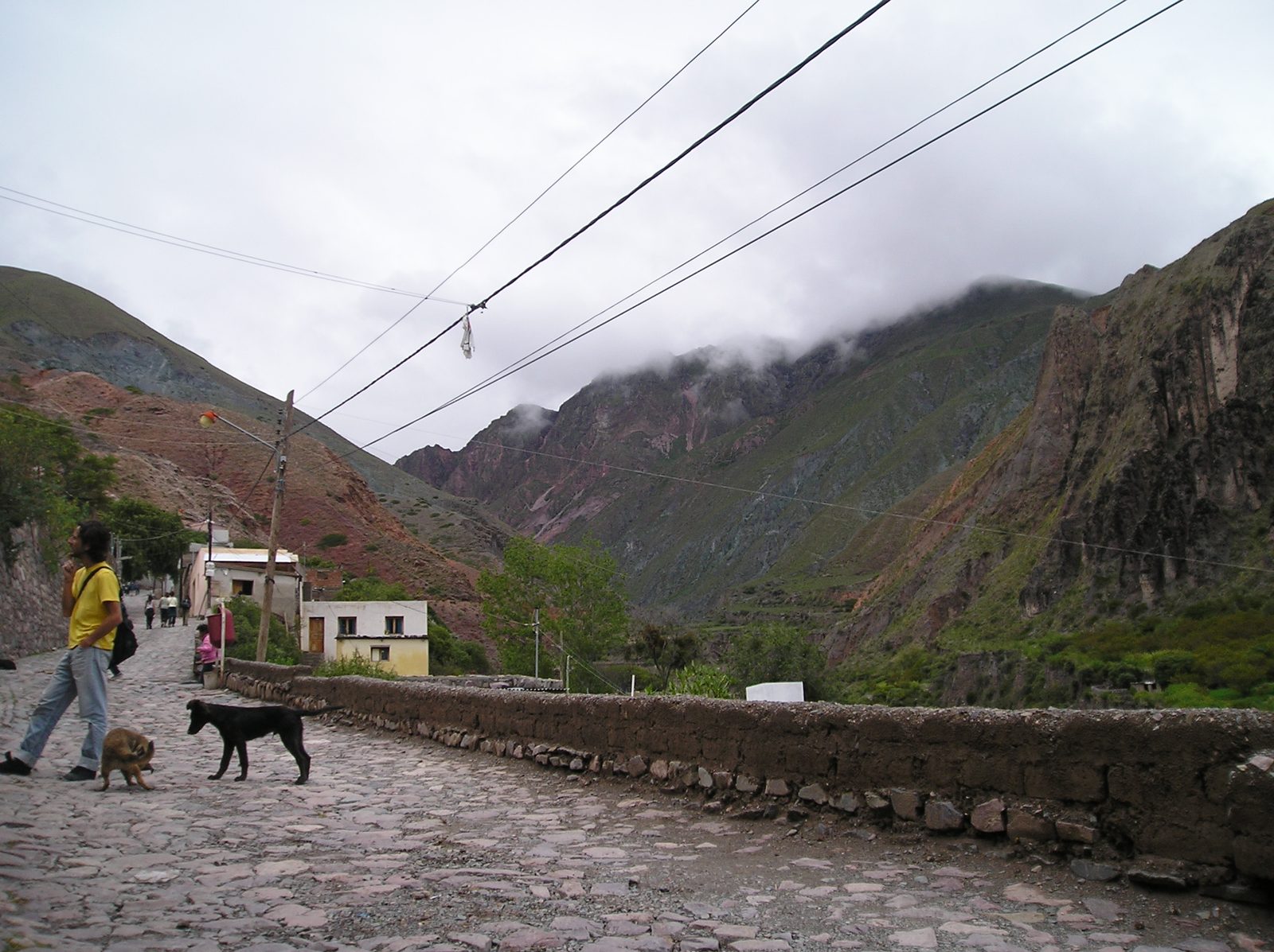 P1010047