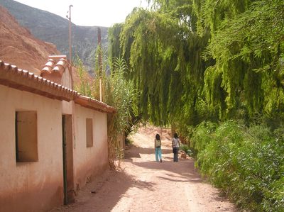 P1010046