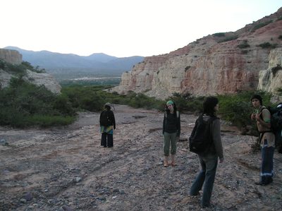 P1010024